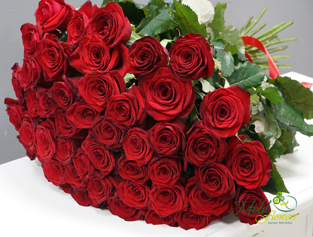 51 Красная роза голландская 50-60 см Фото